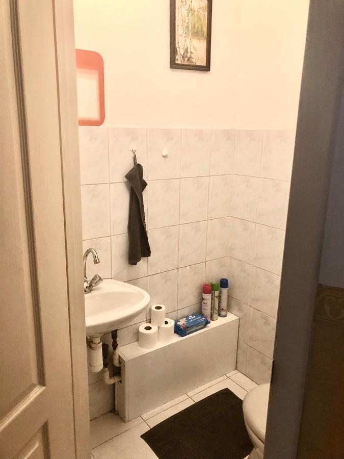 Large Apartment With Garage And Terrace Будапеща Екстериор снимка
